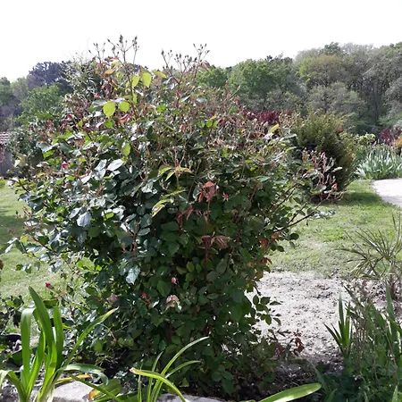 Les Iris 3 Etoiles 47 Ruffiac Holiday home *